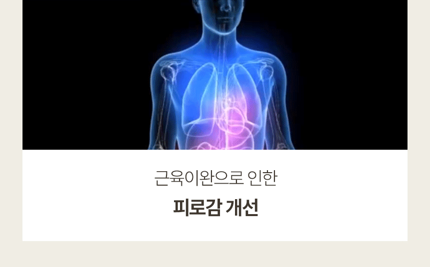 HR-KSS_05.gif